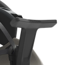 Prodigee ICON