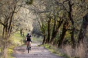 WTB Proterra Light i23 TCS 2.0 gravel hátsó kerék