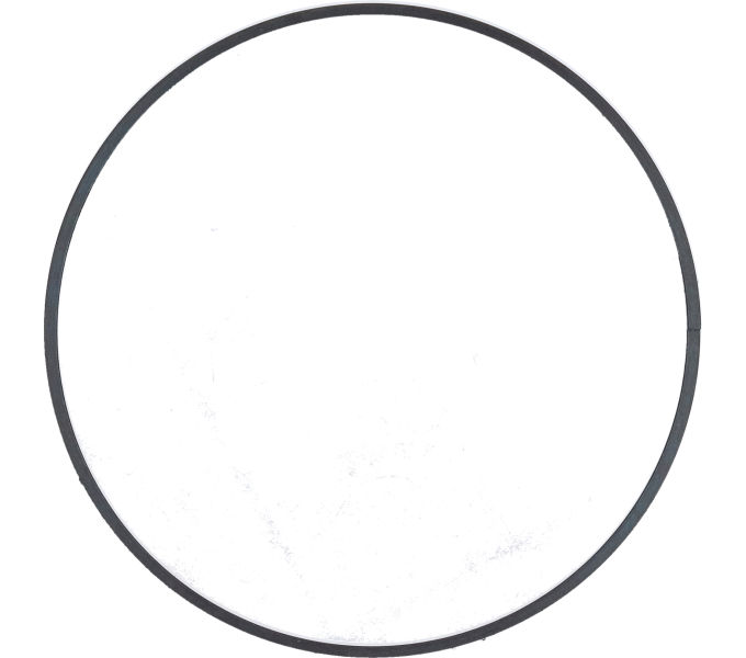 SHIMANO SG-8R20 RING GEAR 1 STOP RING #34R 8000