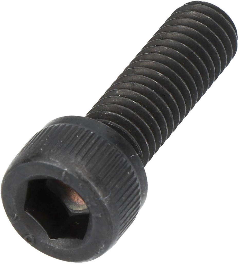 SHIMANO TL-CN26 M6 BOLT #130 0401