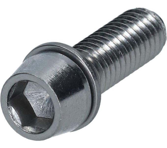 SHIMANO CLAMP SCREW WITH WASHER (M6 X 19)