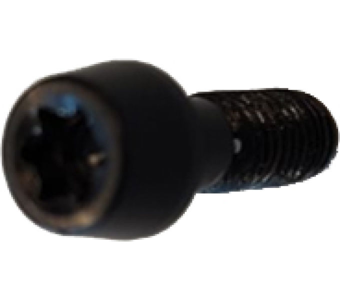 PRO VIBE SUPERLIGHT BOLTS STEM 1 SET /4X T25X25 BOLT