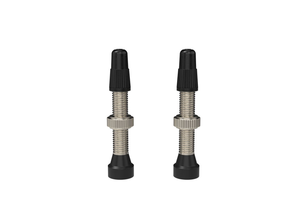 WTB Standard Tubeless (RVC) szingó szelep [ezüst, 34 mm]