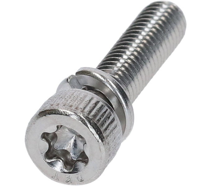 SHIMANO SPEED SENSOR FIXING BOLT L22(HEX T25)