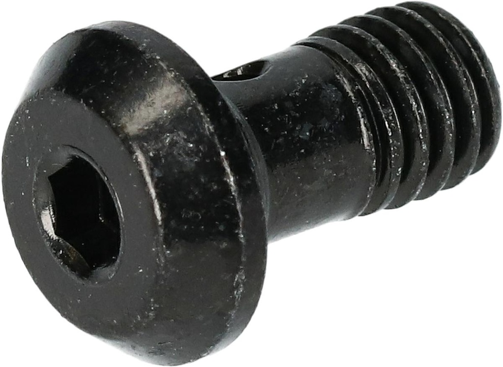 SHIMANO BR-M8100 BANJO BOLT