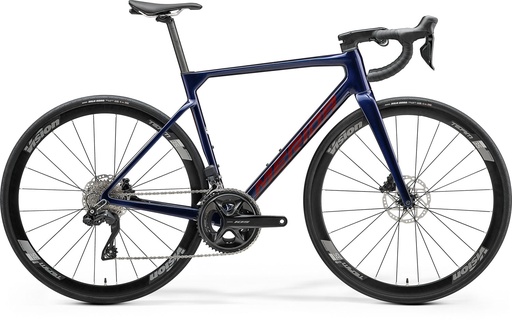 [#BF-2500556] MERIDA SCULTURA 5000 V1 LILA, L-es (PIROS)