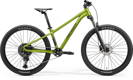 [#BF-2501081] MERIDA MATTS J.CHAMPION III2 ŐSZIZÖLD (FEKETE/FEGYVERSZÜRKE)